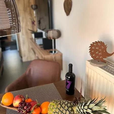 Appartement Gabriela Achtung Nur Feriengaeste Willkommen,Es Ist Keine Arbeiterunterkunft Obernzell Exterior photo